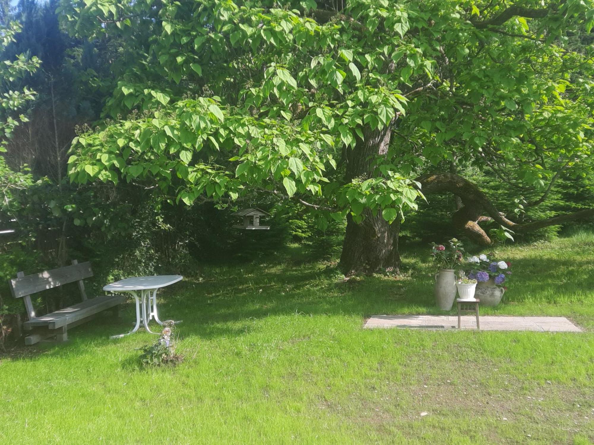 Chalet Damtschach Kültér fotó